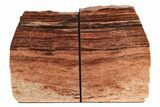 Tall, Arizona Petrified Wood Bookends - Red and Black #240768-1